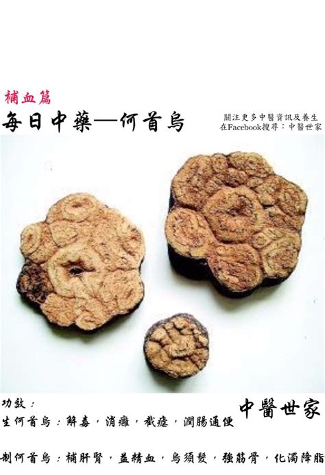 傳統農民曆 何首烏中藥